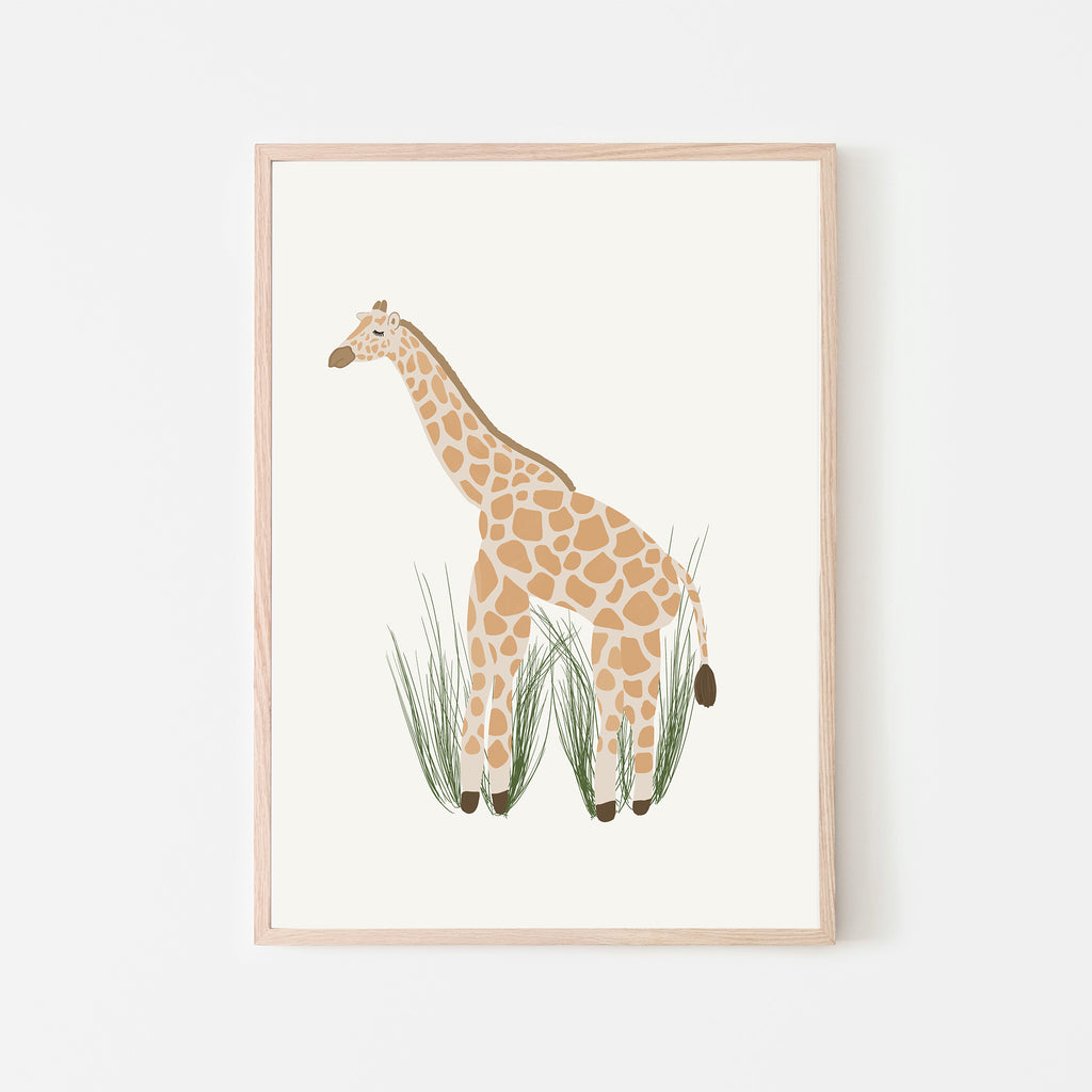 Giraffe in a field of grass with a white background. gift idea, nursery wall decor, playroom wall art