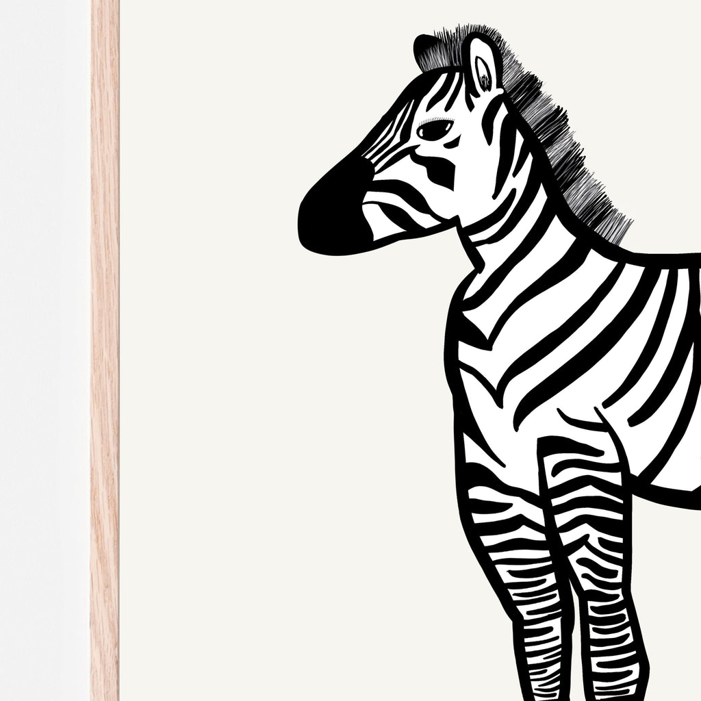 zebra standing with a white background. great gift idea, childrens nursery print, playroom decor close up